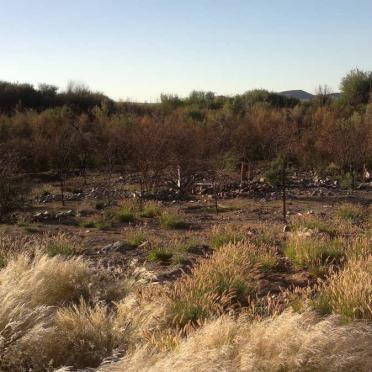 Northern Cape, GORDONIA district, Upington, Dagbreek, cemetery_2