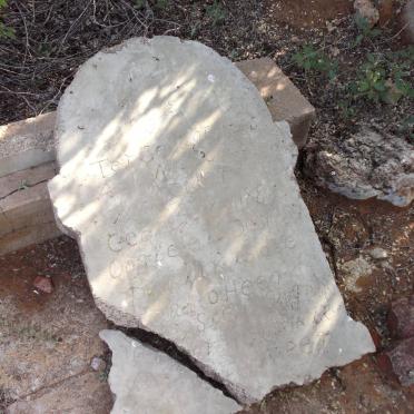 SCHNEIDER Nicolaas 1882-19?