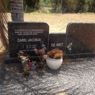 WET Carel, de 1935-2001