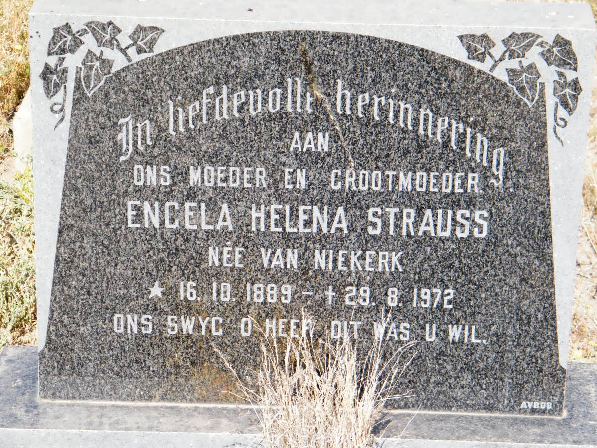 STRAUSS Engela Helena nee VAN NIEKERK 1889-1972