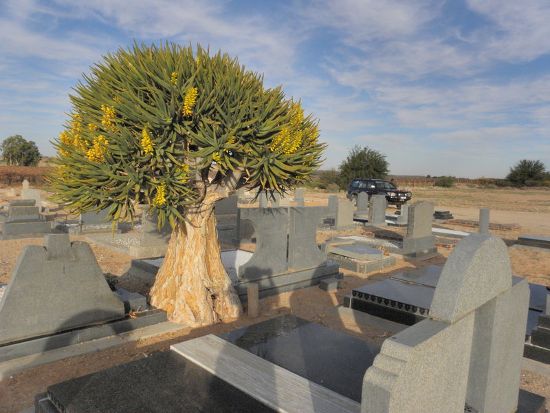 5. Overview / Oorsig