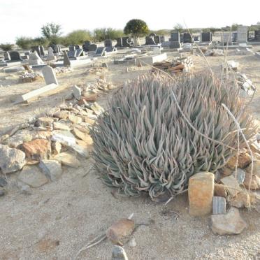 4. Overview / Oorsig