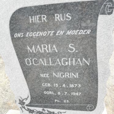 O'CALLAGHAN Maria S. nee NIGRINI 1873-1947