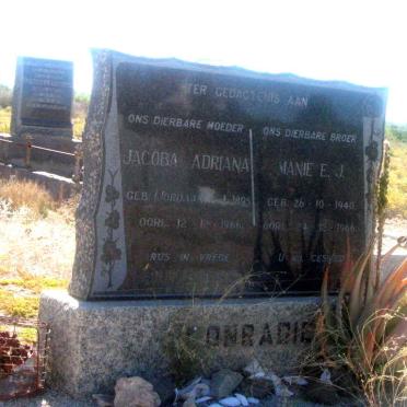 CONRADIE Jacoba Adriana nee JORDAAN 1895-1966 :: CONRADIE Manie E.J. 1940-1966