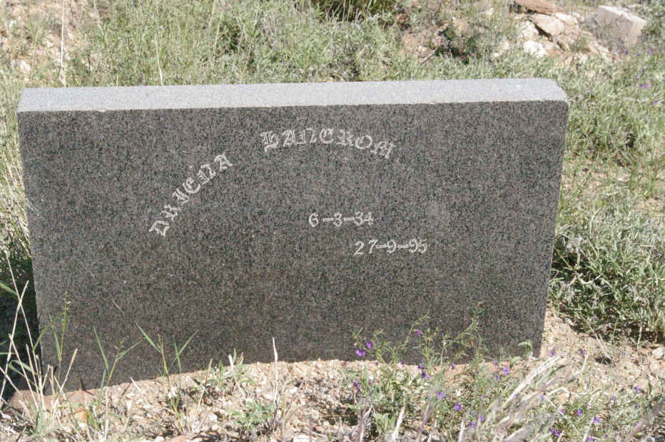 HANEKOM Driena 1934-1995