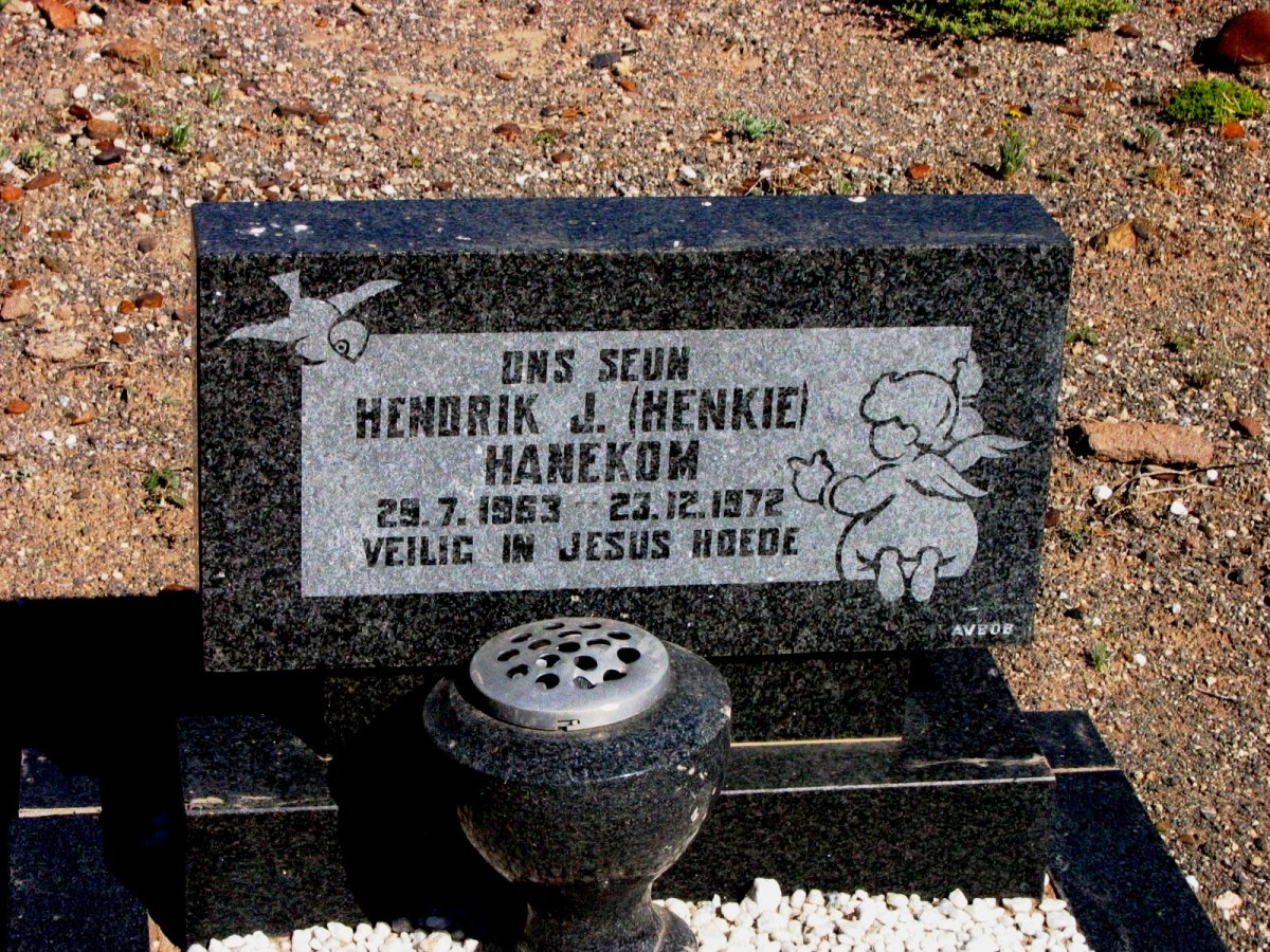 HANEKOM Hendrik J. 1963-1972