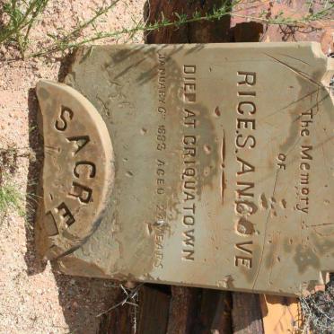 ANGOVE Rice A. -1883