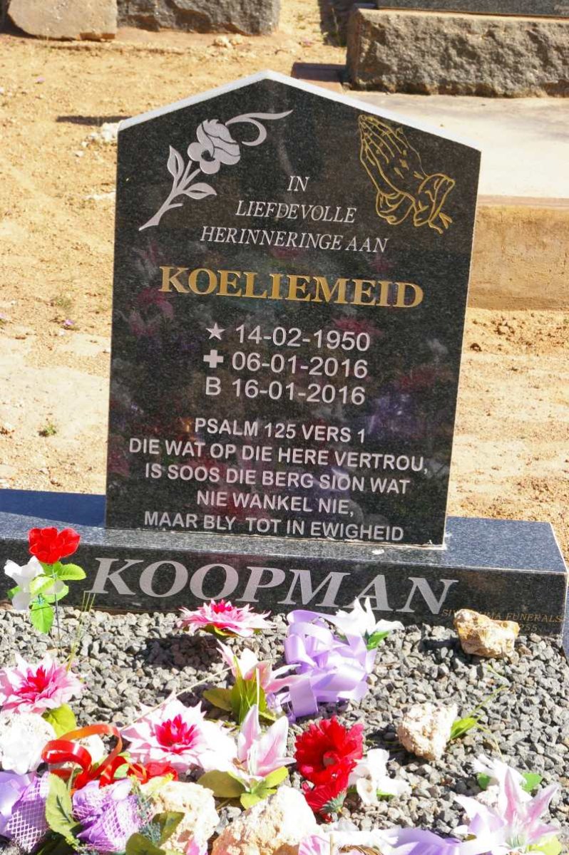 KOOPMAN Koeliemeid 1950-2016