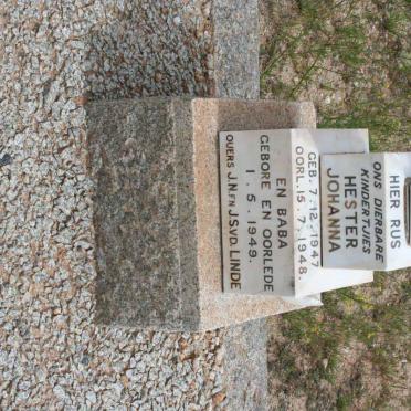 LINDE Hester Johanna, v.d. 1947-1948 :: V.D. LINDE 1949-1949