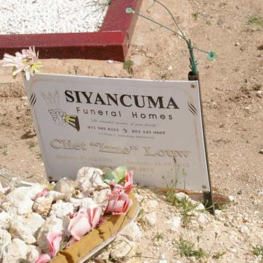 LOUW Cliet 1991-2013