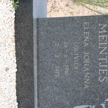 M - Surnames :: Vanne - M