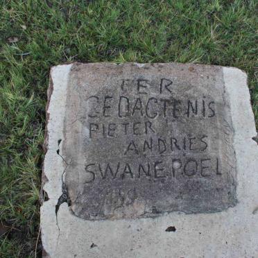 SWANEPOEL Pieter Andries