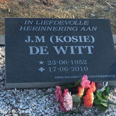 WITT Jacobus Mattheus, de 1952-2010