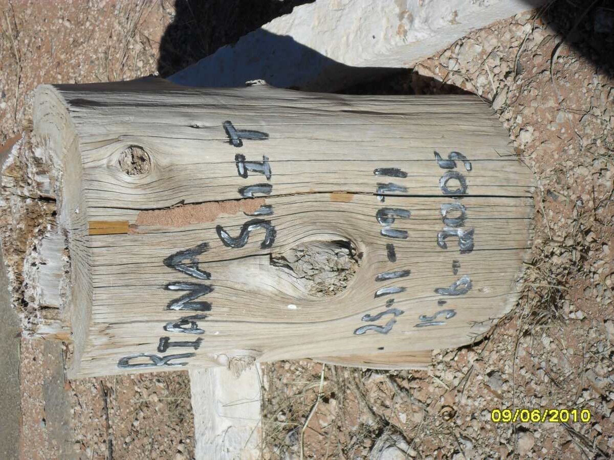 SMIT Riana 1971-2005