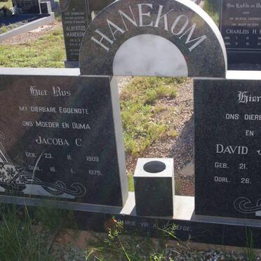 HANEKOM David Jacobus 1899-1980 &amp; Jacoba C. 1909-1975