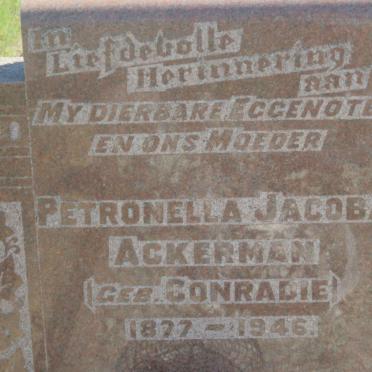ACKERMAN Petronella Jacoba nee CONRADIE 1877-1946