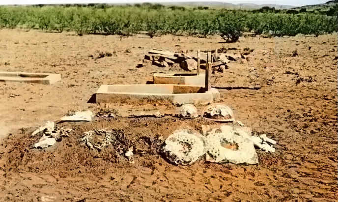 2. Overview / Oorsig