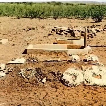 2. Overview / Oorsig