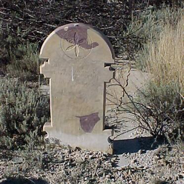NIEKERK Johannes Petrus, van 1874-1919
