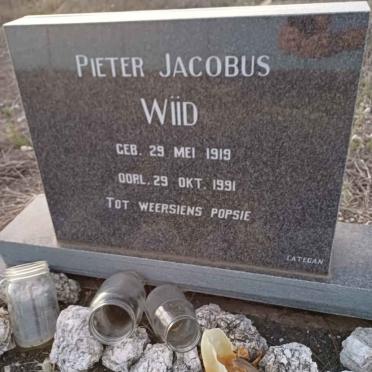 WIID Pieter Jacobus 1919-1991