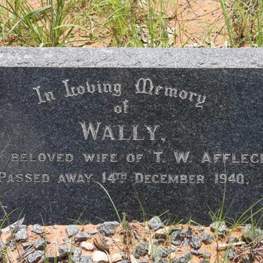 A - Surnames :: Vanne - A