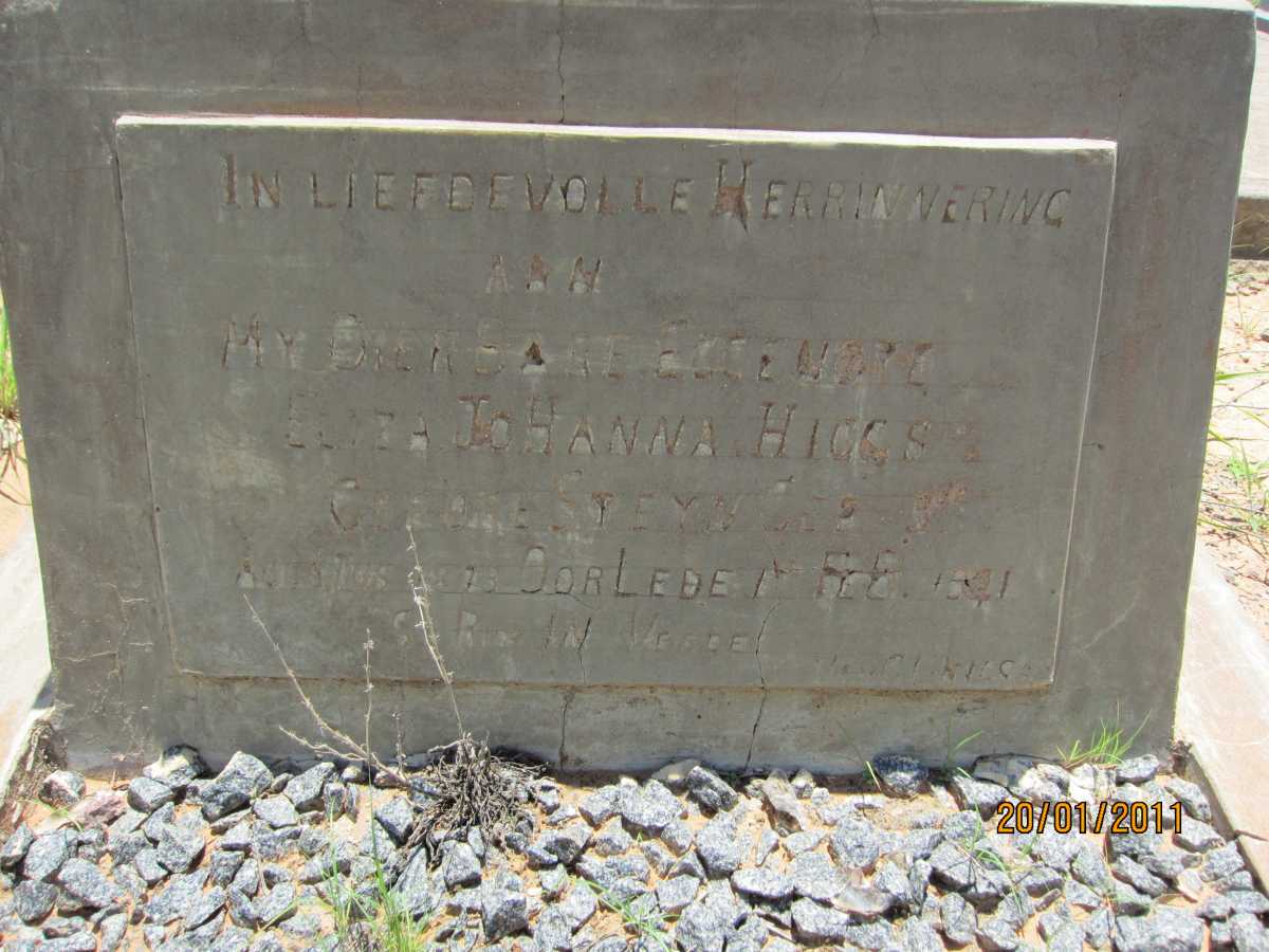 HIGGS Eliza Johanna nee STEYN 1878-1941