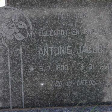 JACOBS Antonie 1893-1927