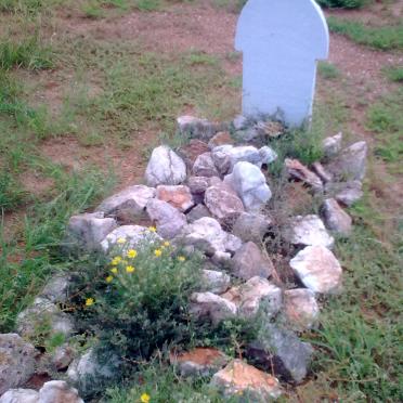 BOTIS Wietsi 1922-1923