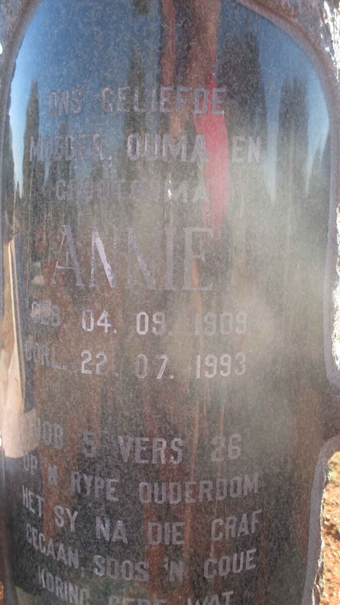 GOUWS A.S. 1909-1993