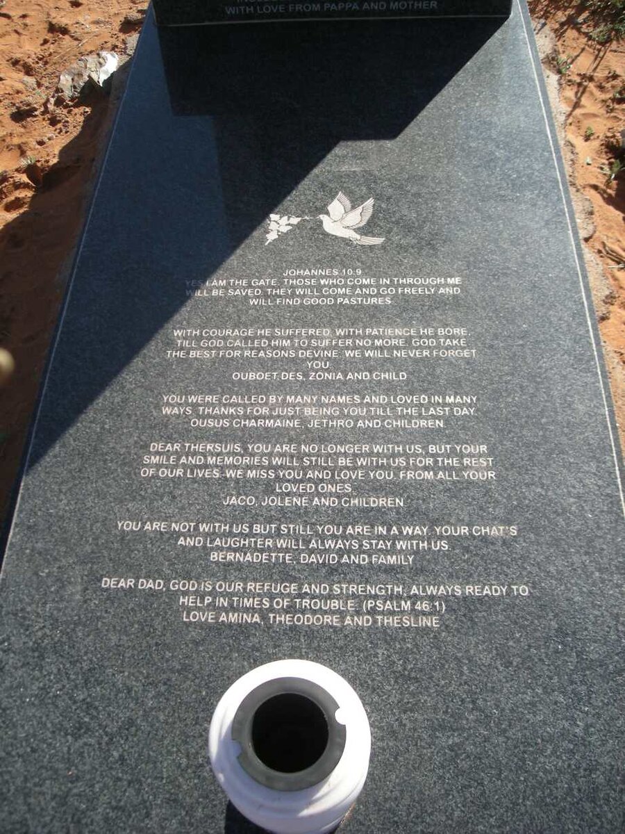 GREEN Thersuis Regard 1985-2011