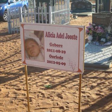 J - Vanne :: Surnames - J