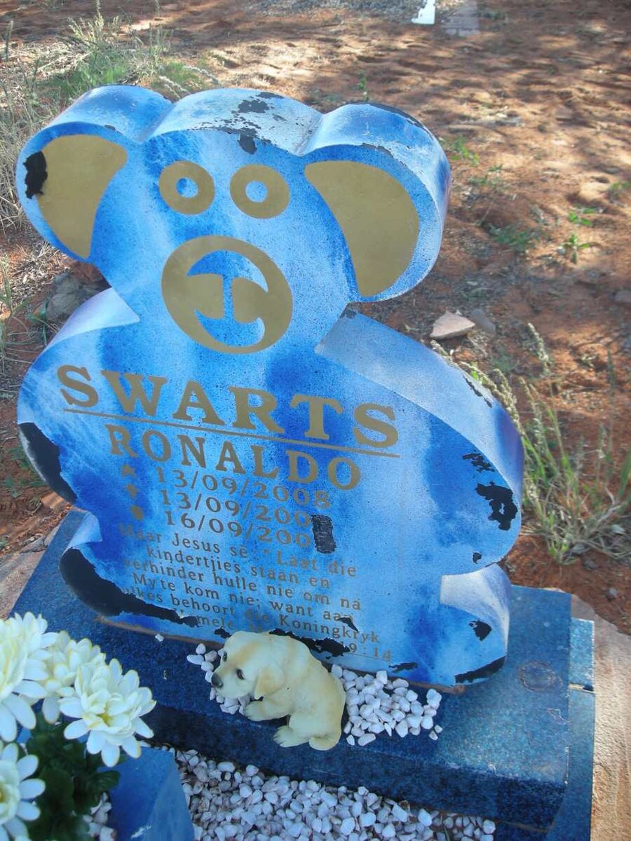 SWARTS Ronaldo 2008-200?