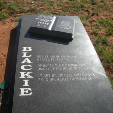 SWART Hendrik Albertus Jacobus 1956-2011