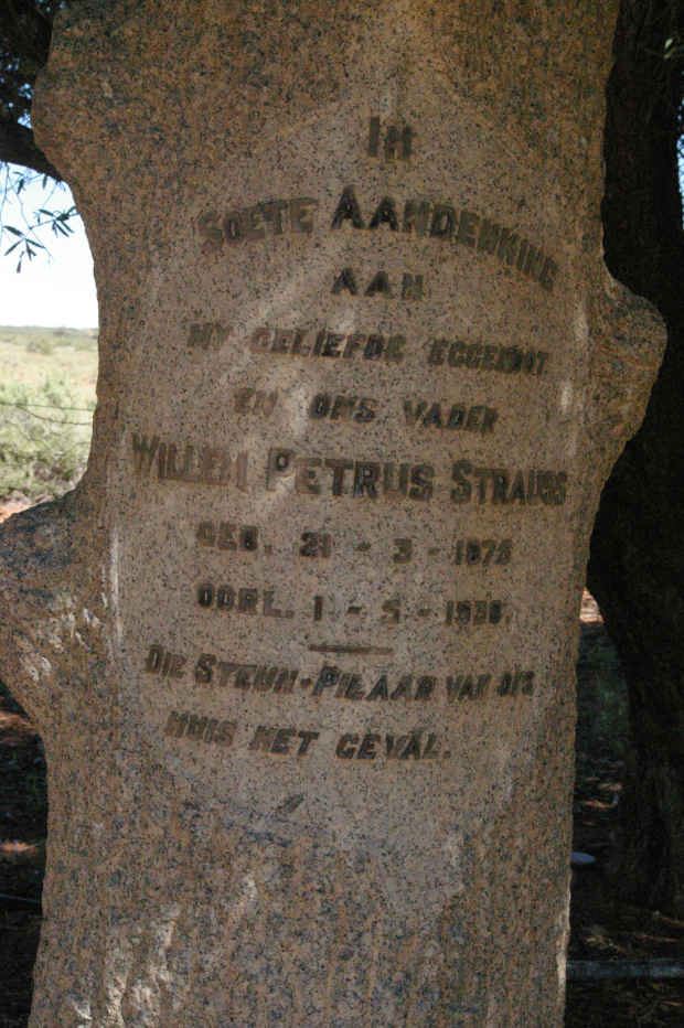 STRAUSS Willem Petrus 1875-1938