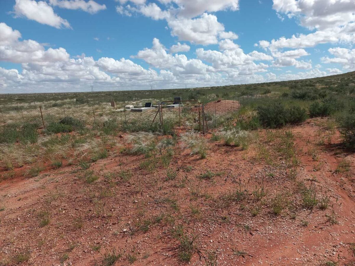 1. Oorsig / Overview