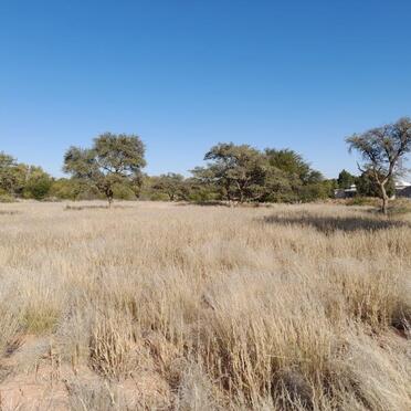 2. Overview / Oorsig