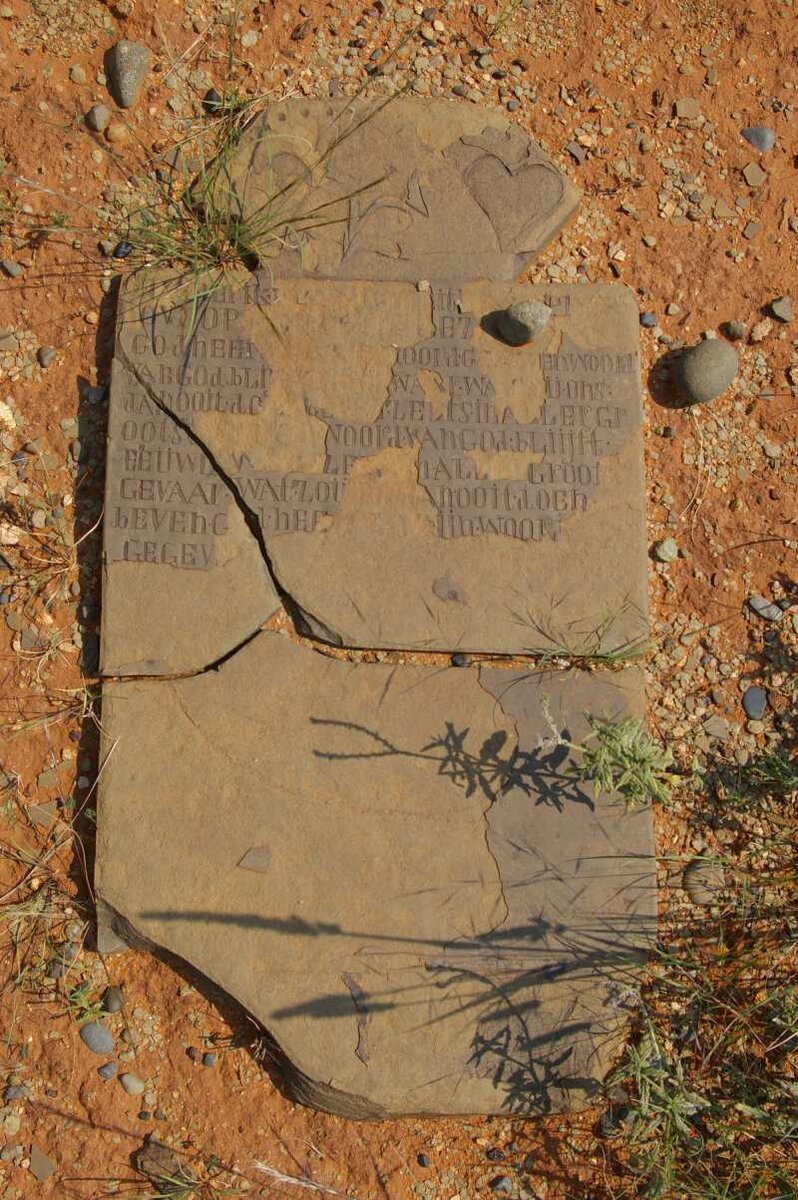 SMITH Frederik Jacobus 1823-1905