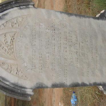 COLLINS Alfred -1897