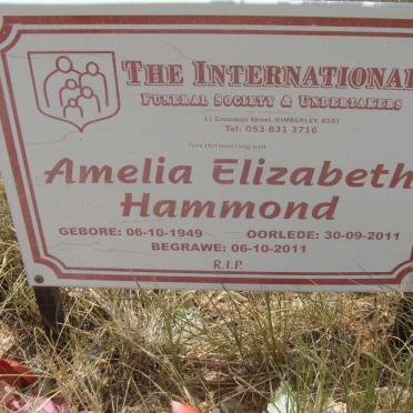 HAMMOND Amelia Elizabeth 1949-2011