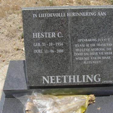 NEETHLING Hester C. 1954-2008