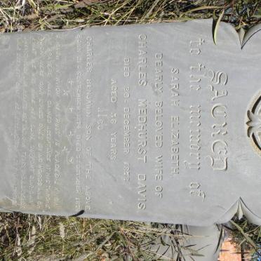 DAVIS Sara Elizabeth -1878 :: DAVIS Charles Benjamin 1874-1874