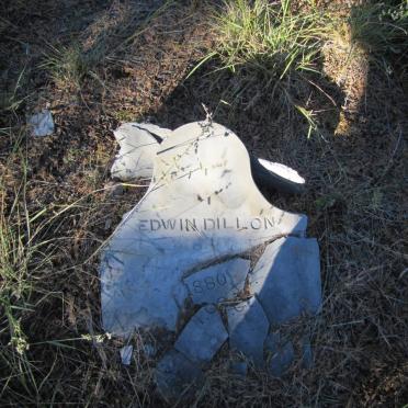 ? Edwin Dillon -1880