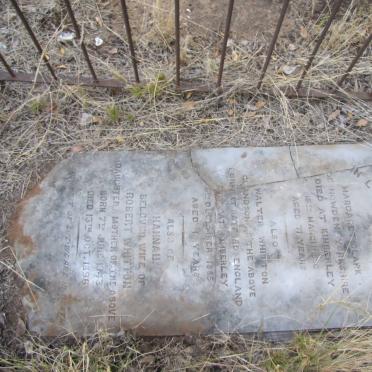 CLARK Margaret -1880 :: WHITTON Hannah 1843-1896 :: WHITTON Walter -1885