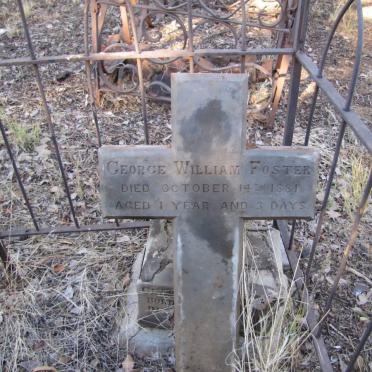 FOSTER George William -1881