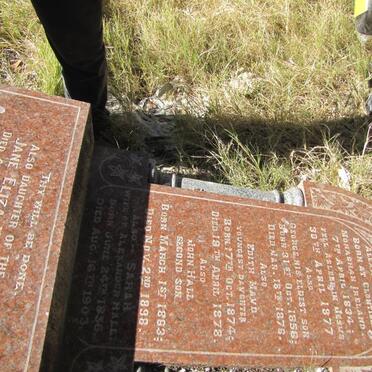 HALL Alexander 1834-1877 &amp; Sarah 1836-1903 :: HALL George 1858-1876 :: HALL Edith Maud 1874-1878 :: HALL John 1863-1898