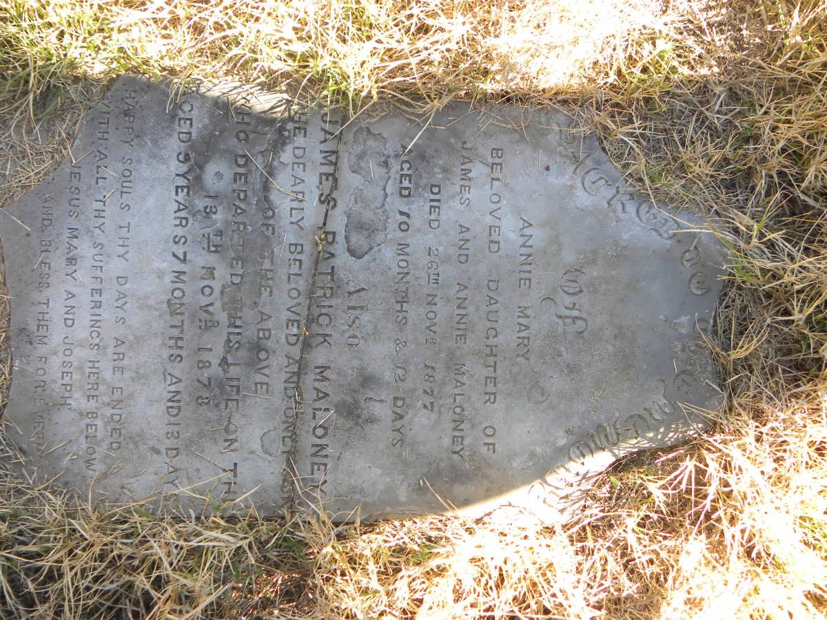 MALONEY Annie Mary -1877 :: MALONEY James Patrick -1878