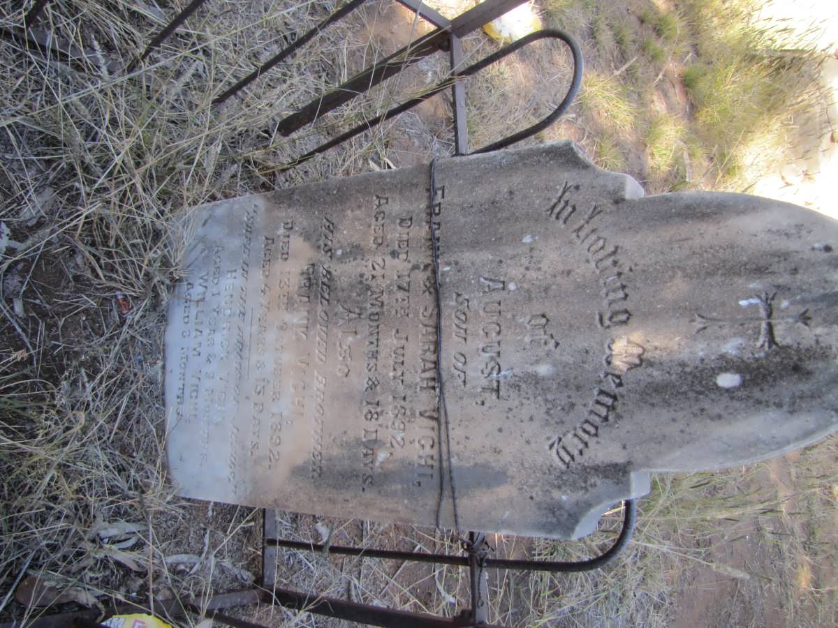 VIGHI August -1892 :: VIGHI Frank -1892 :: VIGHI Hendrick ? :: VIGHI William ?