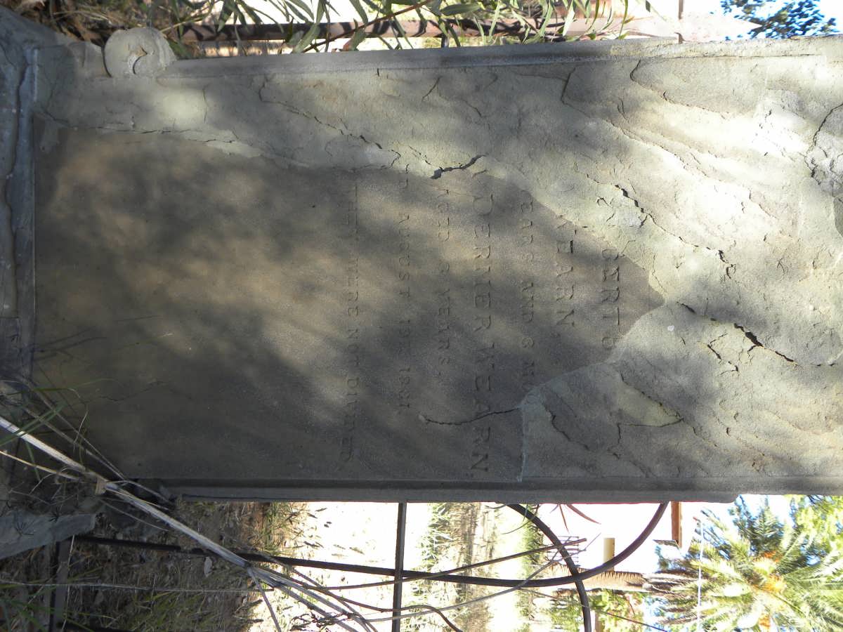 WEARN ? :: WEARN ? Dermer -1881