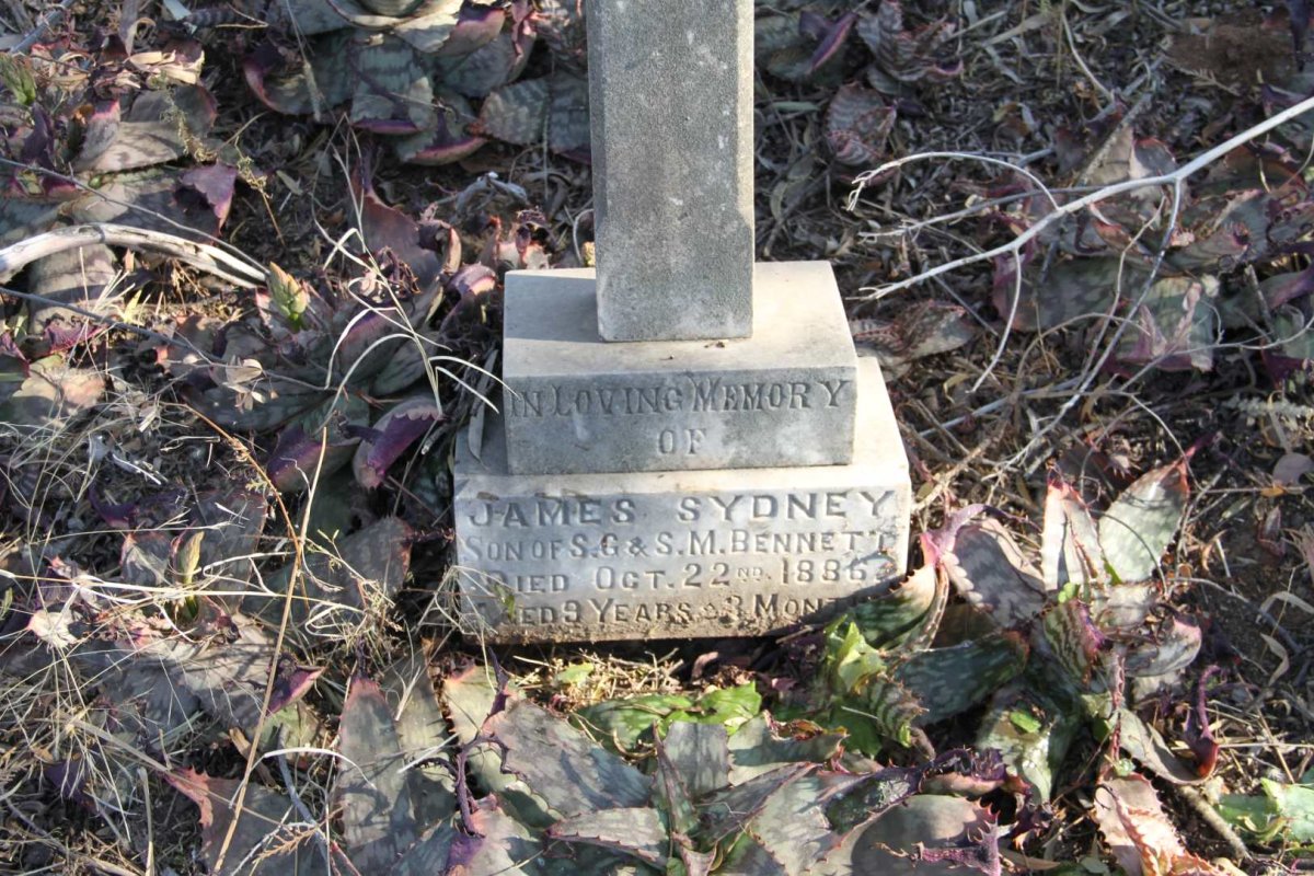 BENNETT James Sydney -1886