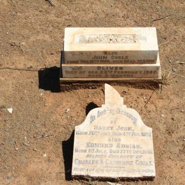 COGLE Harry John 1893-1893 :: COGLE Edmund Adrian 1896-1896 :: COGLE John 1901-1902 :: COGLE Oliver 1901-1902